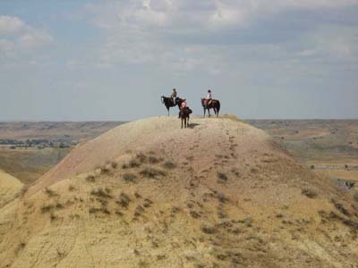 cowgirls_stand_together_