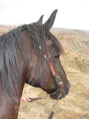 geronimo