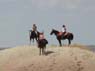 cowgirls_like_a_challenge