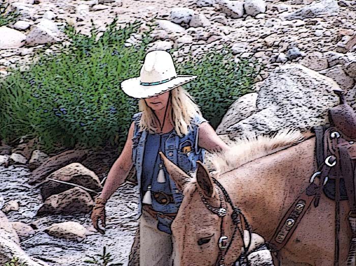 CINDY_MULE_COLT