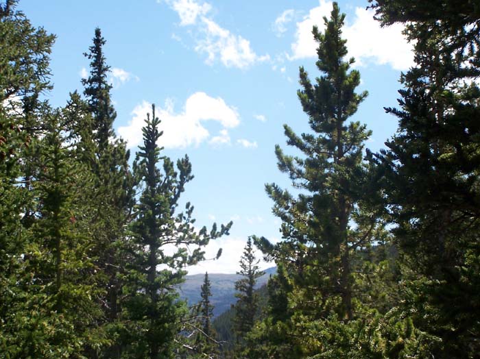SCENERY1