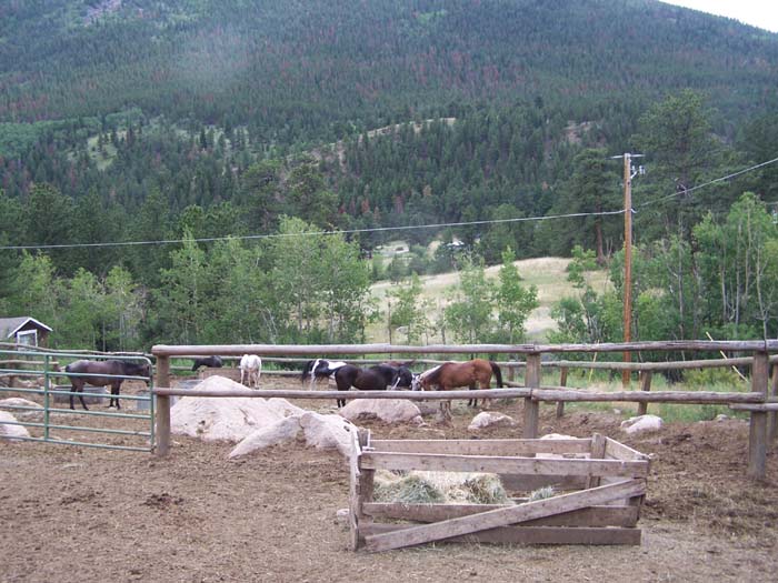 rockymtn1 048