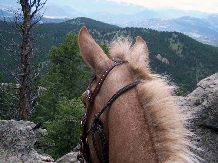 rockymtn1 284