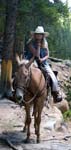 CINDY_K_ROBERTS