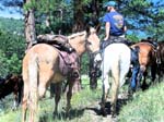 rockymtn1 171