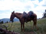 rockymtn1 248