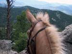 rockymtn1 284