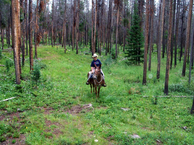 arapaho_natl_forest_wendy