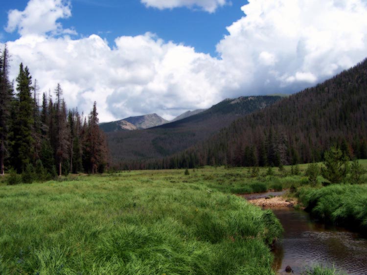 big_meadow_trail