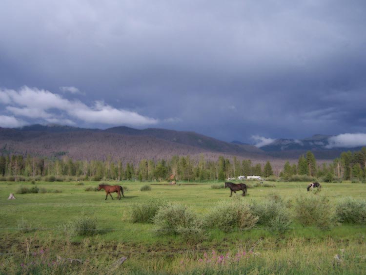 pasture_windingriver