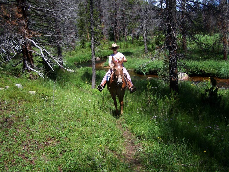 wendy_arapaho_natl_forest