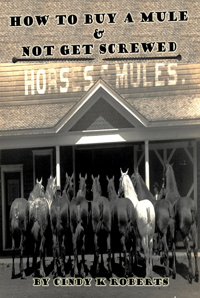 How To Buy a Mule & Not Get Screwed by Cindy K Roberts